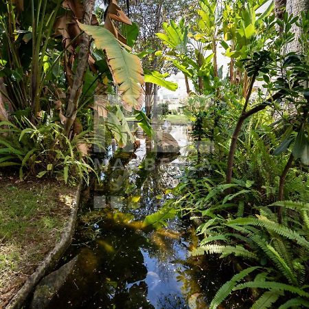 Amazing Apartment ,Center Of Marbella, Beach 338 Εξωτερικό φωτογραφία