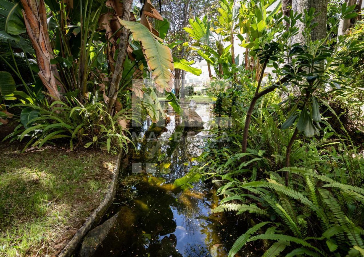 Amazing Apartment ,Center Of Marbella, Beach 338 Εξωτερικό φωτογραφία